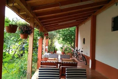 Ferienhaus in Starigrad mit Balkon