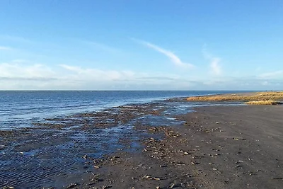 12 Personen Ferienhaus in Fanø-By Traum