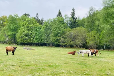 6 Personen Ferienhaus in ÄLMHULT