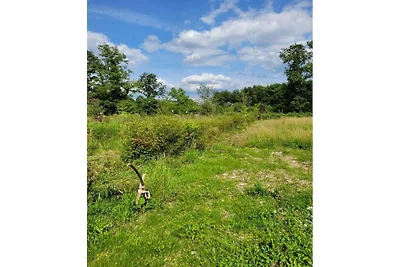 Casa vacanze Littard