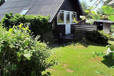 Gemütliches Ferienhaus in Seeland mit...