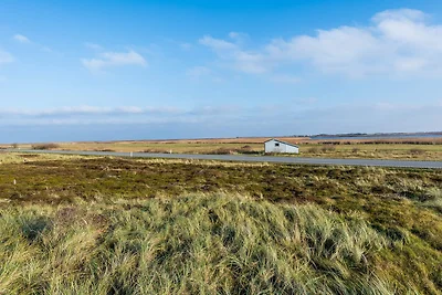 Kustenserene in Bjerregard-By Traum