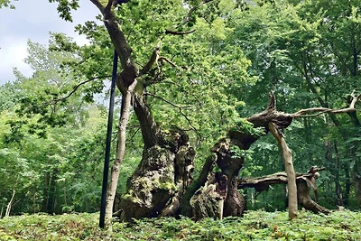 7 Personen Ferienhaus in Jægerspris-By Traum
