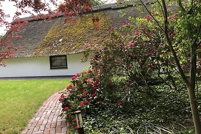 Ferienhaus mit 2 Schlafzimmer
