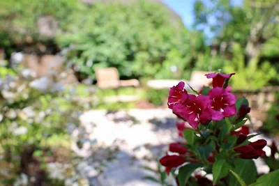 Rietgedekte vakantiewoning in Nieblum op Föhr