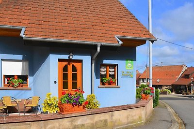 Acogedora casa vacacional en Hinsbourg