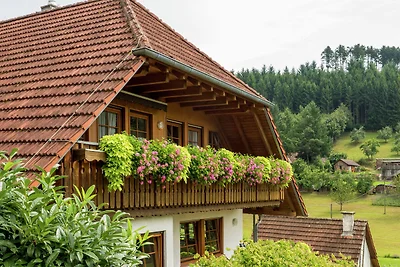 Charmantes Apartment im Schuttertal mit...