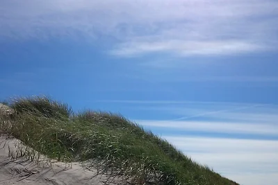 6 persoons vakantie huis in Hirtshals-By...