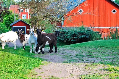 6 persone case ad STJÄRNHOV-By Traum