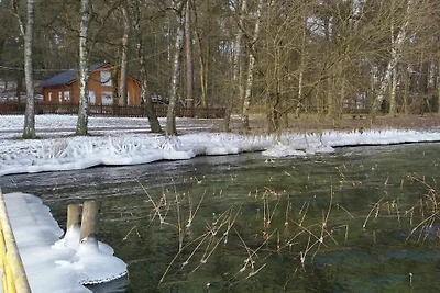 Maison de vacances à Arendsee avec piscine