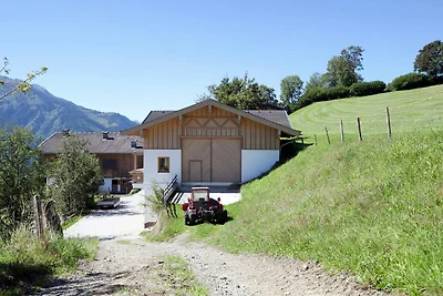 Wohnung in Mittersill nahe Skilift