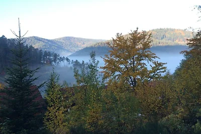 Casa vacanze a Hornberg con piscina