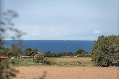 Falkenberg Mechelsdorf