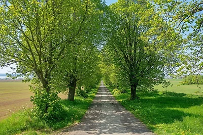 Seeblick Cottage Ruckzug-By Traum
