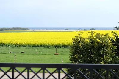 Apartment Fehmarn-Burgtiefe