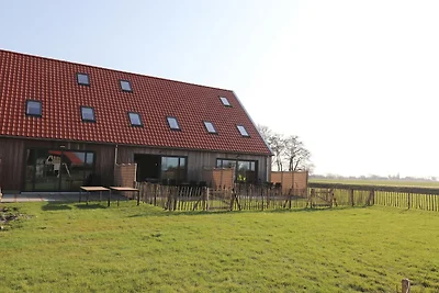 Brandneues Ferienhaus in Friesland