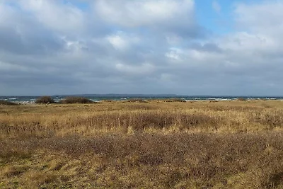 Zeezijde paradijs in oer -- By Traum...