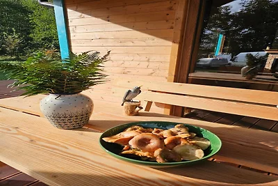 Ferienhäuser mit Privatstrand am See