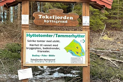 5 Personen Ferienhaus in Drangedal-By Traum