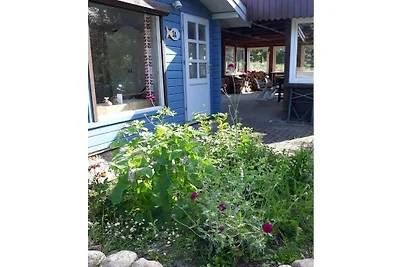 Ferienhaus in Loddin mit Schwimmbecken