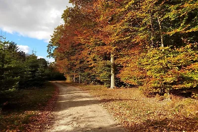 6 Personen Ferienhaus in Karrebæksminde-By...