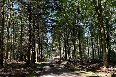 4 persone case ad Thisted-By Traum