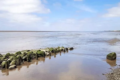 16 Personen Ferienhaus in Højer