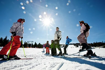Boutique-Chalet in Sankt Georgen ob Murau mit...