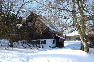 Vakantieappartement met 1 slaapkamer