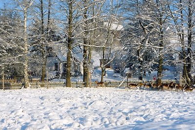Ruhiges Ferienhaus in Sachsen mit privater...