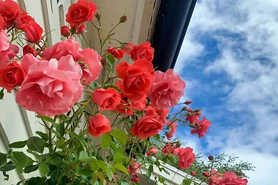 4 Sterne Ferienhaus in FÄRJESTADEN