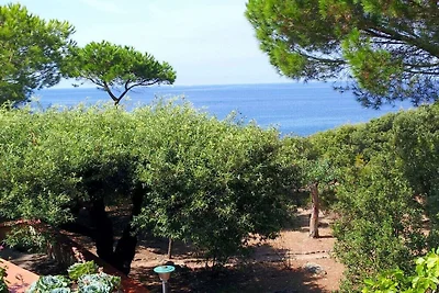 Ferienhaus Erholungsurlaub Marciana