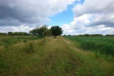 7 Personen Ferienhaus in Stege-By Traum