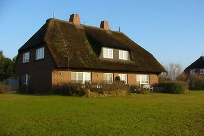 Objekt 38 || Nieblum