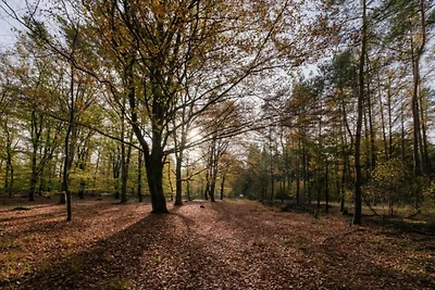 Op de natuur geïnspireerde schuilplaats in...