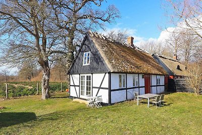 5 Personen Ferienhaus in Præstø-By Traum