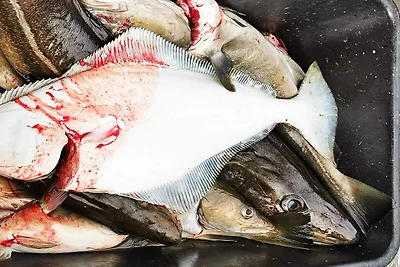 6 Personen Ferienhaus in Rebbenes