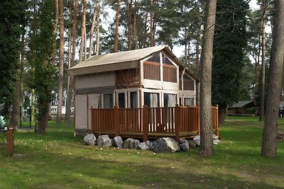 Lodge tenda con bagno a 16 km da Maastricht