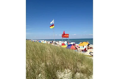 Strandgut Wackerballig