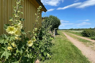 4 Personen Ferienhaus in FÄRJESTADEN