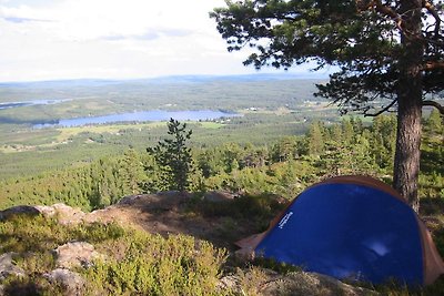 4 Personen Ferienhaus in TORSBY