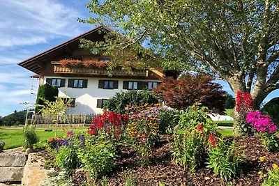 Fluh im Haus Lingg