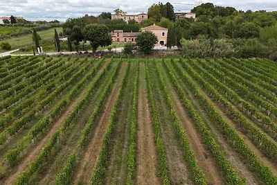 Fornace del Conte - Molino