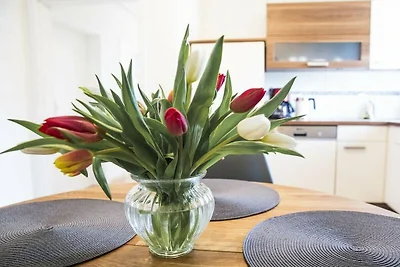 Vakantieappartement in Moos met wifi