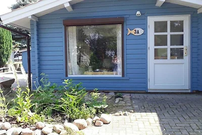 Ferienhaus in Loddin mit Schwimmbecken