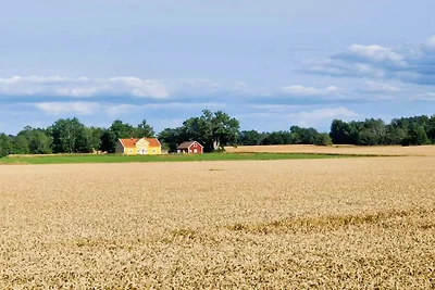 4 Sterne Ferienhaus in ÖDESHÖG