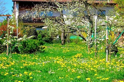 Vakantieappartement met 1 slaapkamer