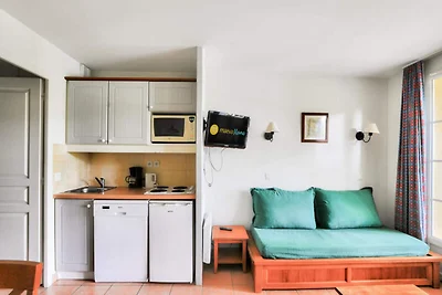 Wohnung in Monflanquin am See