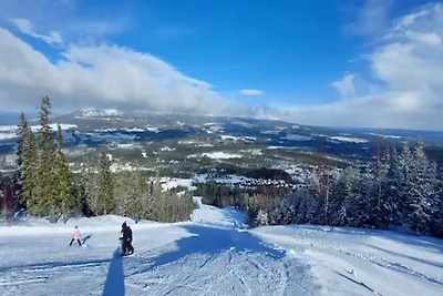 8 Personen Ferienhaus in SÄLEN-By Traum