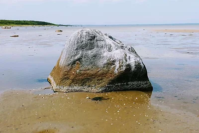 Sonniges Refugium im Hafen von Bonnerup-By...